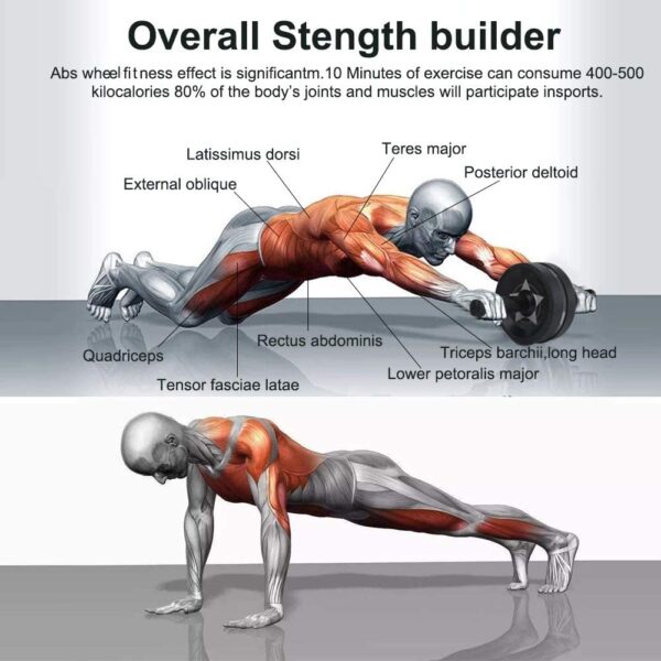 Rodillo abdominal 6 en 1 con rodilleras, bandas de resistencia, almohadillas de empuje, mangos y empuñaduras, equipo perfecto para el gimnasio en casa para hombres y mujeres de EnterSports - Imagen 3