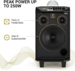 Máquina de karaoke inalámbrica, TONOR Bluetooth PA sistema portátil altavoz de canto con micrófonos inalámbricos duales, bola de discoteca para el hogar karaoke, fiesta, clase y iglesia (K20) - Imagen 6