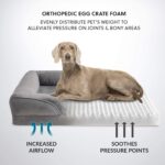 Cama ortopédica para perros medianos – Cama de perro impermeable mediana, sofá de espuma con funda extraíble lavable, forro impermeable y sofá inferior antideslizante, cama para mascotas