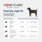 Envoltura para perro macho, 50 unidades, tamaño pequeño - Imagen 3