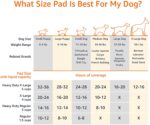 Amazon Basics Alfombrillas para el entrenamiento urinario de perros y cachorros con 5 capas y con superficie de secado rápido a prueba de fugas, regular (56 x 56 cm), paquete de 100 - Imagen 6