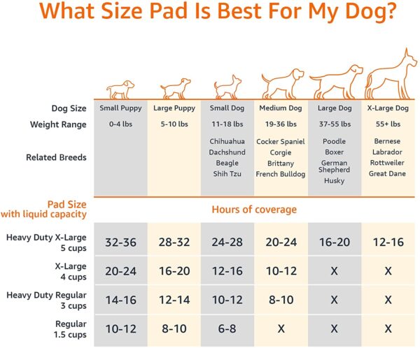 Amazon Basics Alfombrillas para el entrenamiento urinario de perros y cachorros con 5 capas y con superficie de secado rápido a prueba de fugas, regular (56 x 56 cm), paquete de 100 - Imagen 6