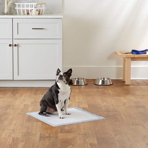 Amazon Basics Alfombrillas para el entrenamiento urinario de perros y cachorros con 5 capas y con superficie de secado rápido a prueba de fugas, regular (56 x 56 cm), paquete de 100 - Imagen 7