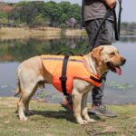 Apetian Chaleco salvavidas para perro, chaleco salvavidas para perro, chaleco salvavidas para perro, chaleco de natación flotante (naranja 2021, S) - Imagen 7