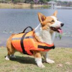Apetian Chaleco salvavidas para perro, chaleco salvavidas para perro, chaleco salvavidas para perro, chaleco de natación flotante (naranja 2021, S) - Imagen 6