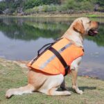 Apetian Chaleco salvavidas para perro, chaleco salvavidas para perro, chaleco salvavidas para perro, chaleco de natación flotante (naranja 2021, S) - Imagen 8