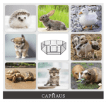 Encierro plegable de metal para mascota 24 pulgadas 8 pliegos - Imagen 4