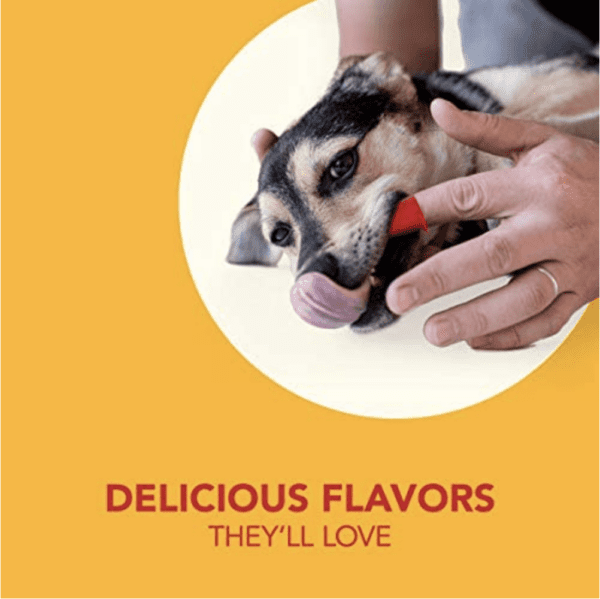 Petrodex Kit de cuidado dental para perros, pasta de dientes enzimática y cepillos de dientes, sabor a aves de corral, juego de 3 piezas - Imagen 5