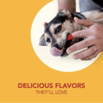 Petrodex Kit de cuidado dental para perros, pasta de dientes enzimática y cepillos de dientes, sabor a aves de corral, juego de 3 piezas - Imagen 5