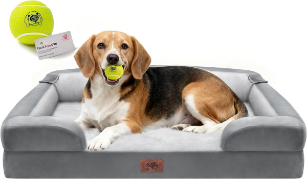 1.jpg Camas ortopédicas para perros grandes y medianos, gran cama tipo sofá con refuerzo de espuma viscoelástica impermeable para mascotas con funda extraíble lavable, 36 x 27 pulgadas - Imagen 1