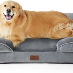 Bedsure XL Plus - Cama ortopédica para perros extra grandes, cama lavable para perros y gatos, impermeable, cómodo sofá para perros con funda extraíble lavable, cama para mascotas con parte inferior